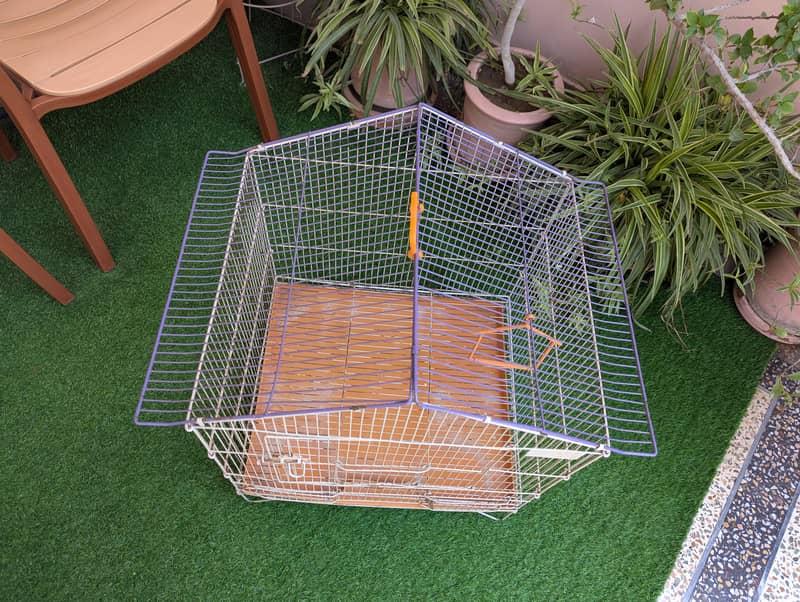bird cage 2