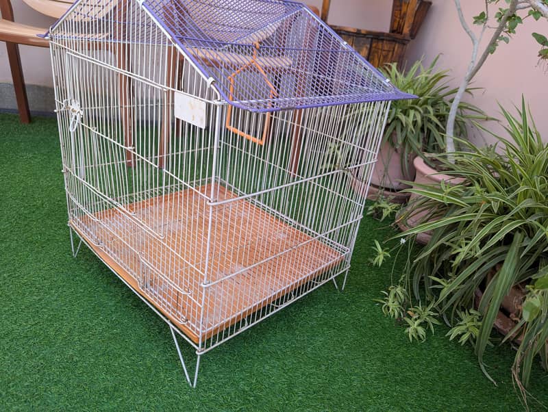 bird cage 3