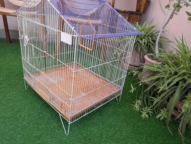 bird cage — photo 4
