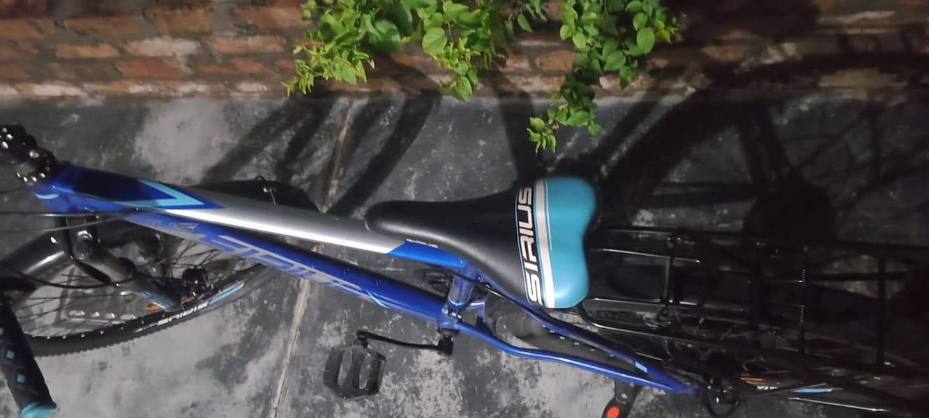 Mountain bicycle 1