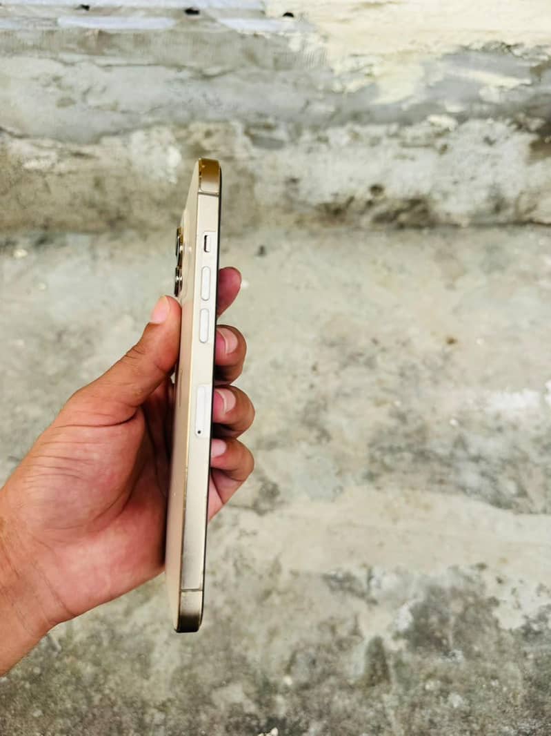 Apple iPhone 12 Pro Max 1