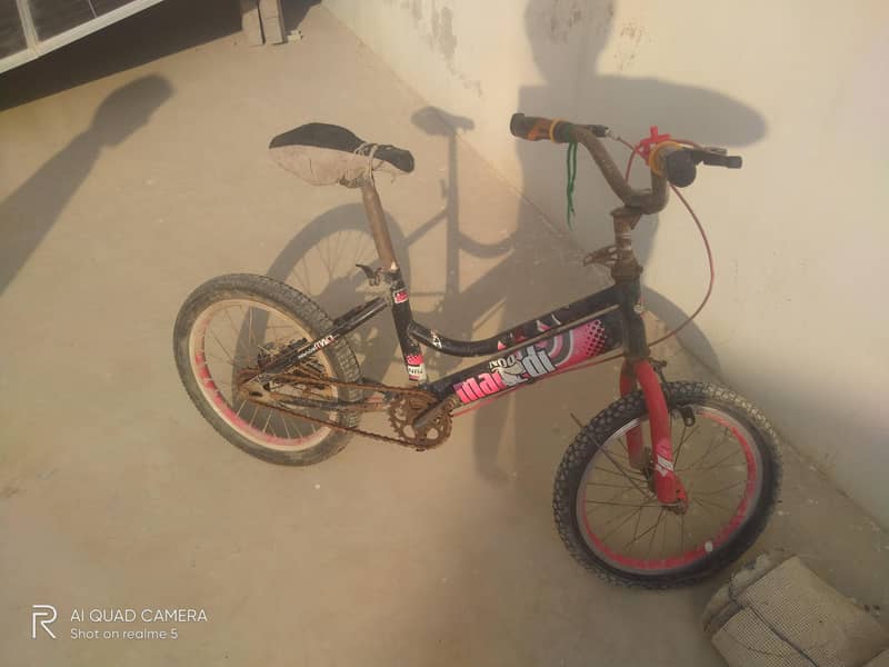 kid cycle 1