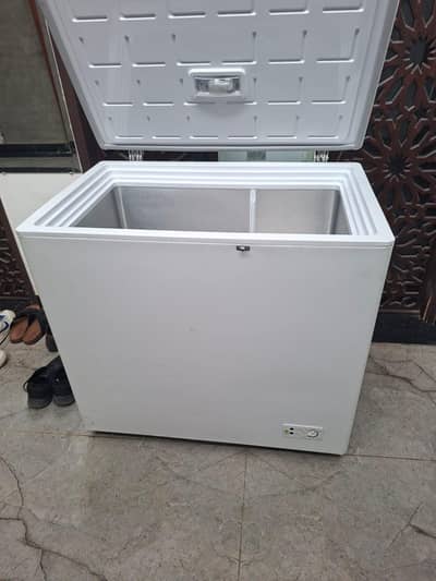 pet frezzer single door for sale