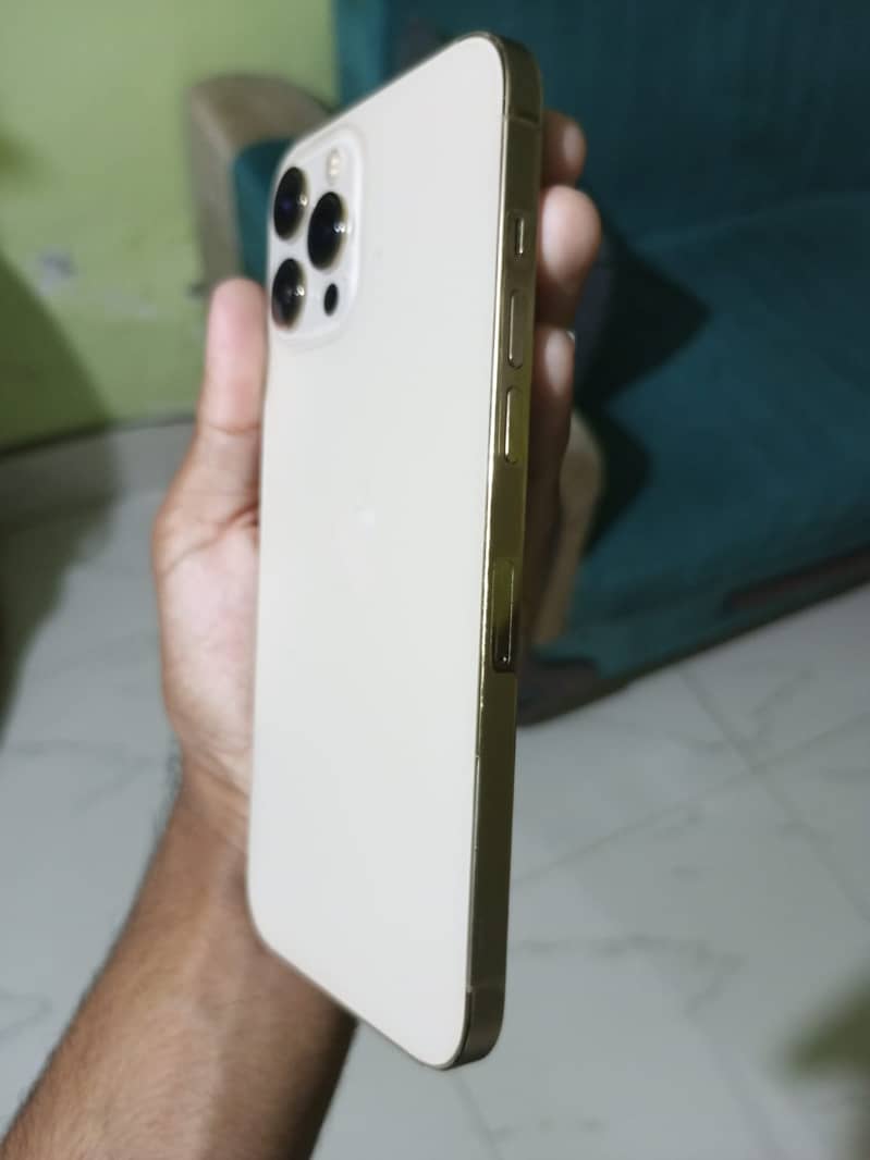 Apple iPhone 12 1