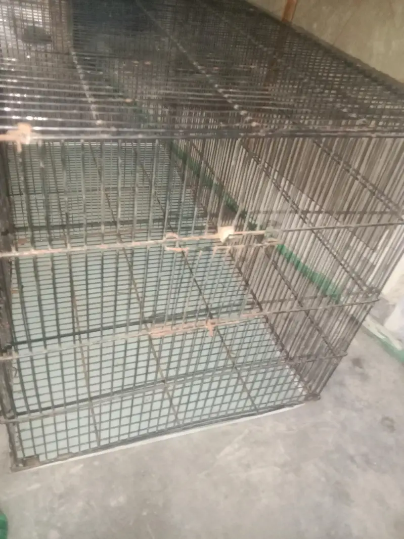 Parrot cage 2 side dor 3ft total