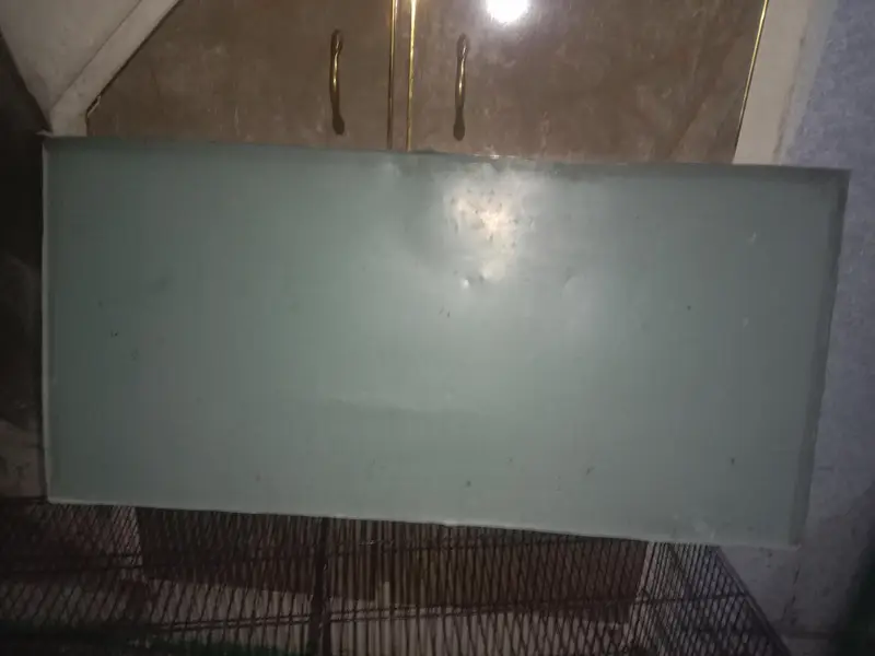 Parrot cage 2 side dor 3ft total — photo 2