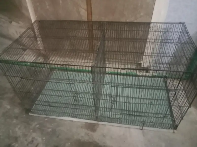 Parrot cage 2 side dor 3ft total — photo 3