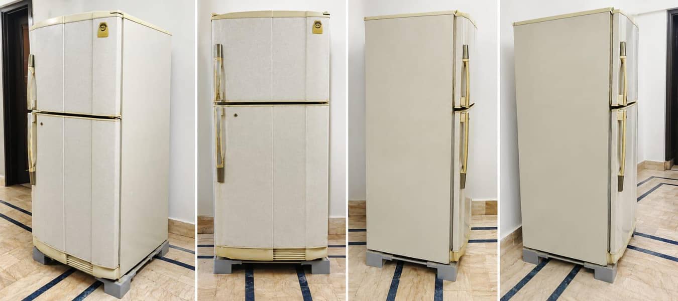 pel full size fridge 0