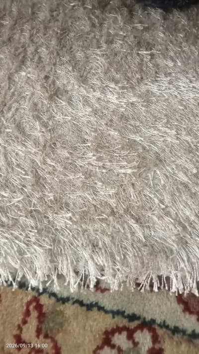 carpet n rug