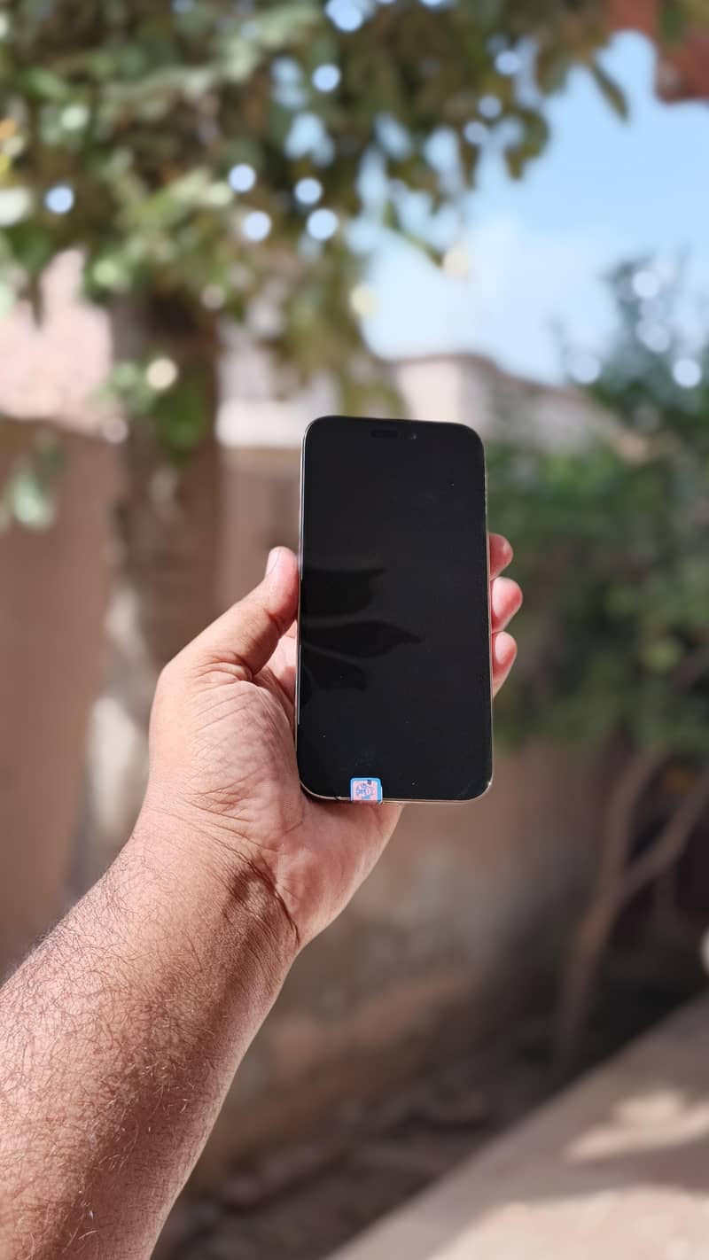Apple iPhone 14 Pro 1