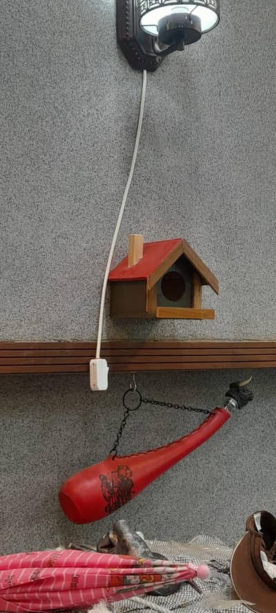 birds cage