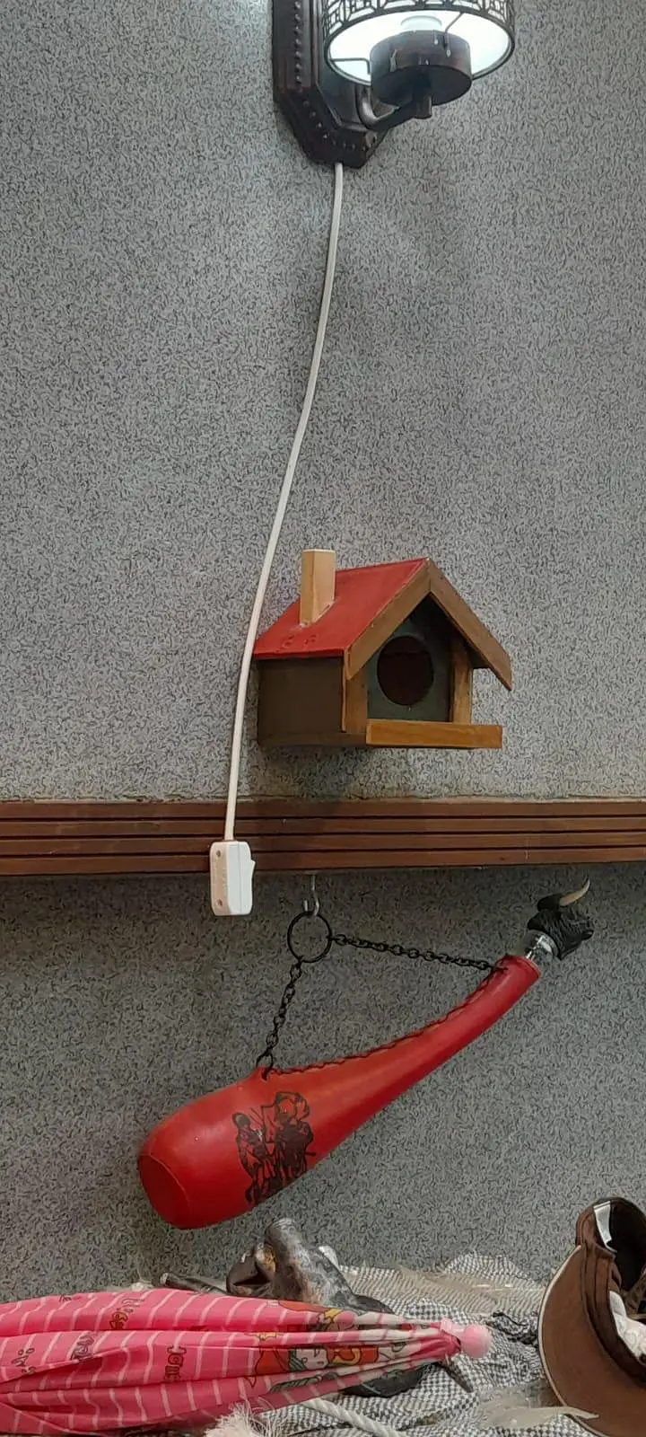 birds cage