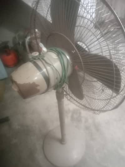 condition 10/6 chlny m think hy