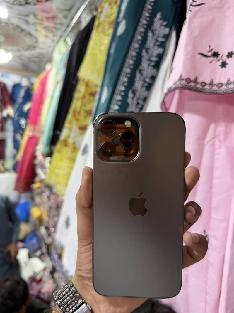 Apple iPhone 13 Pro Max 15