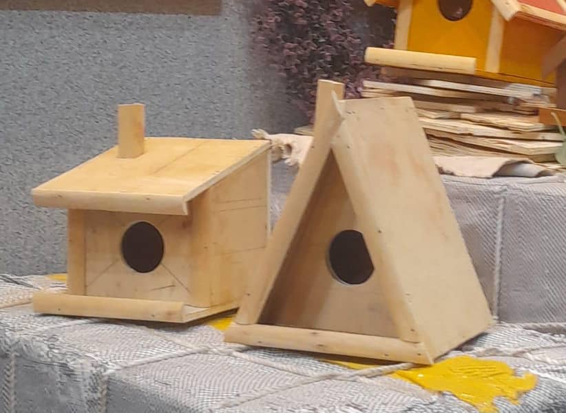 birds cage 0
