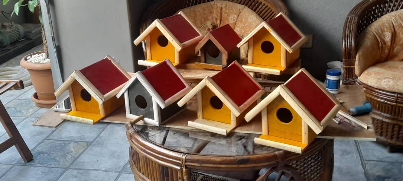 birds cage 3