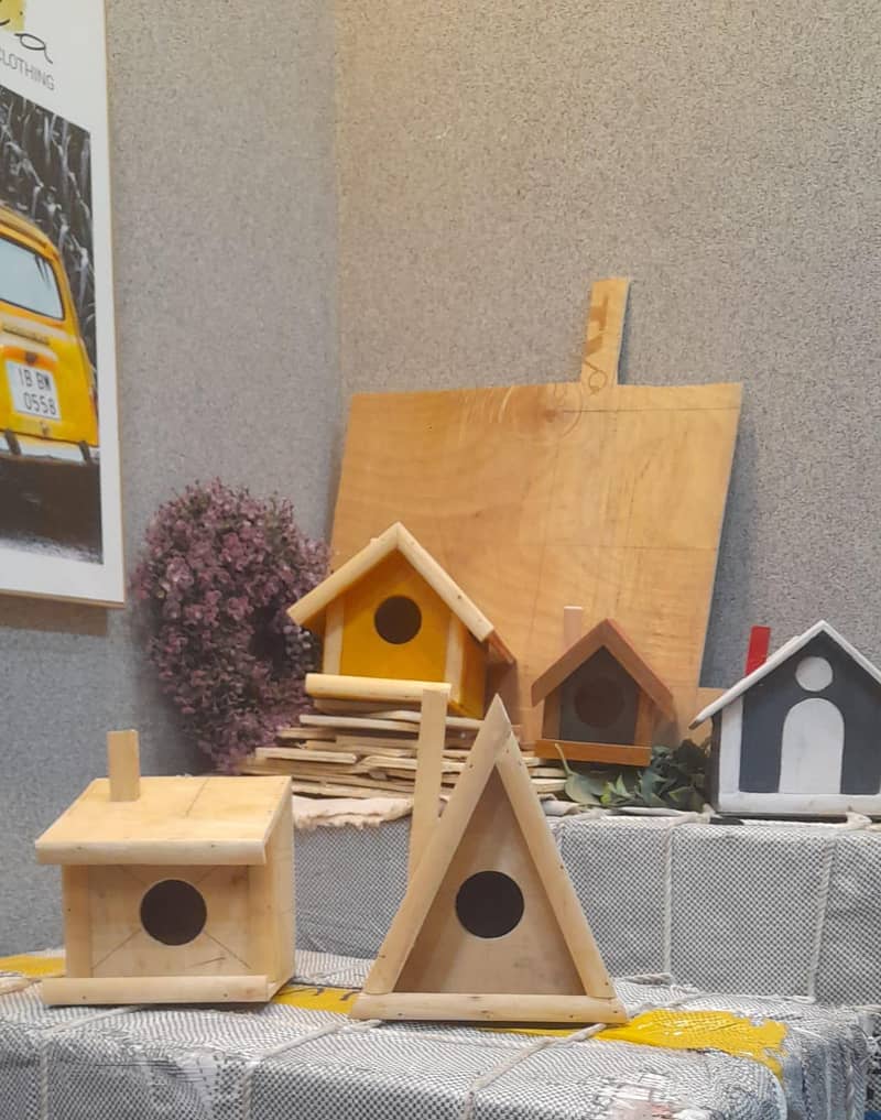 birds cage 4