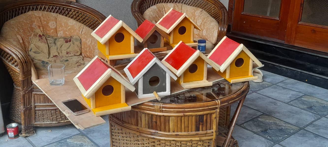 birds cage 5