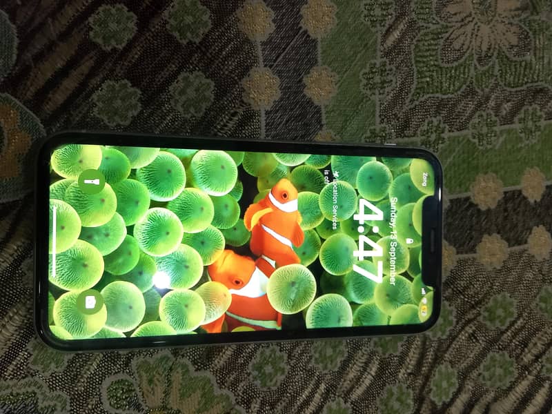 Apple iPhone XR 1