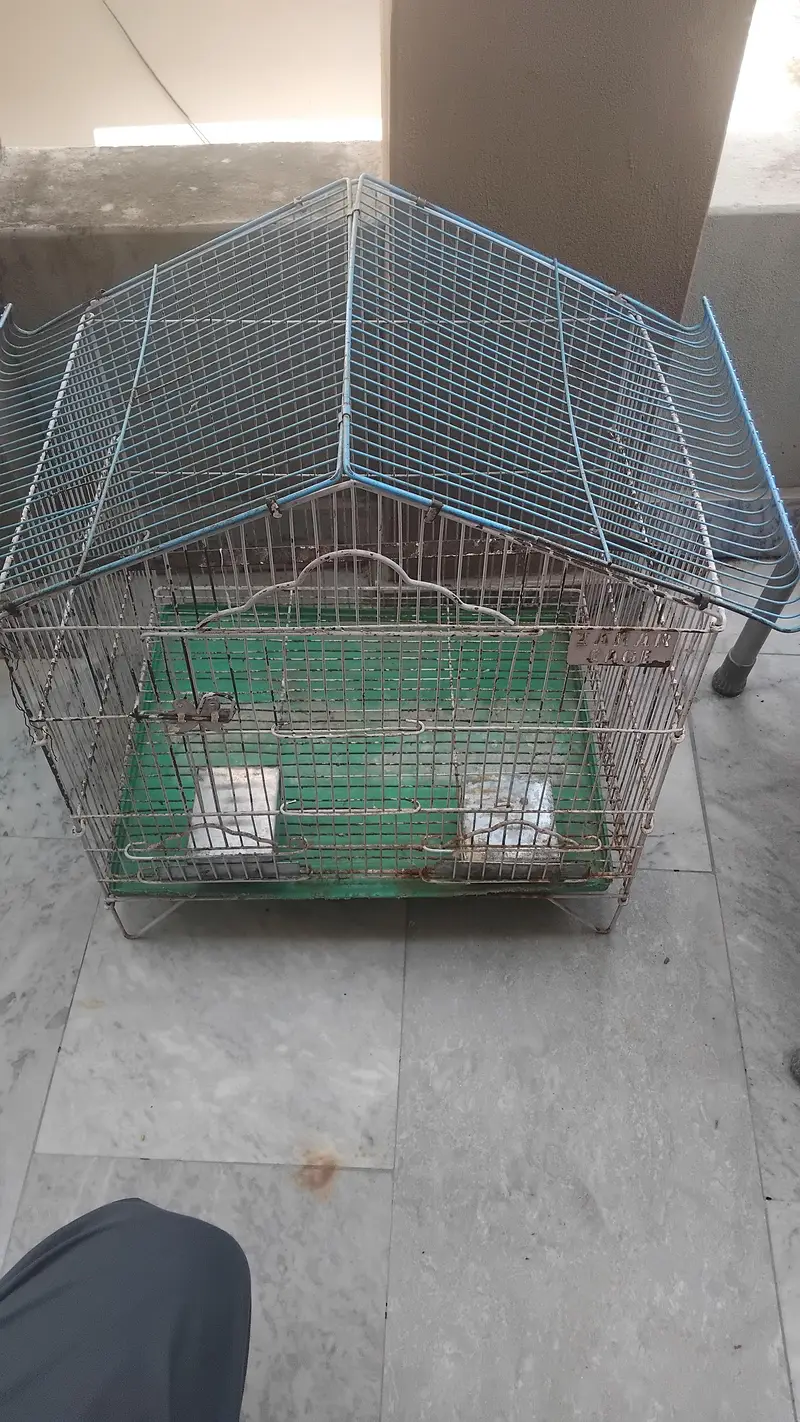 03134607067 no damage, light weight, kuch time use. — photo 2