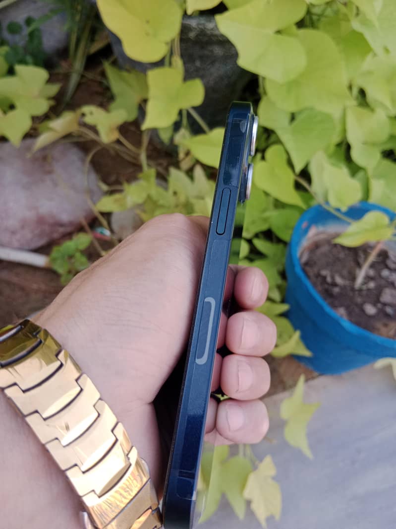 phone 1