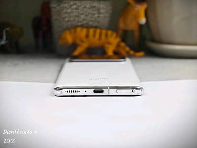Xiaomi Mi 11 Ultra