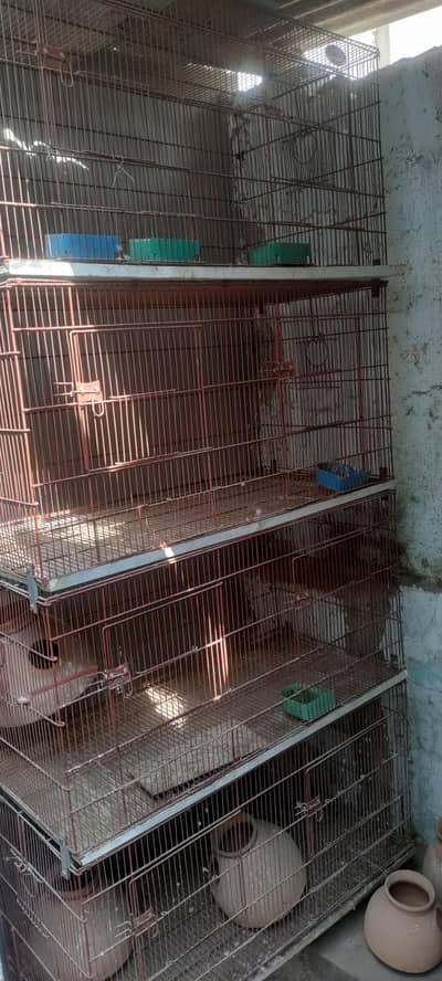 8 portion cage