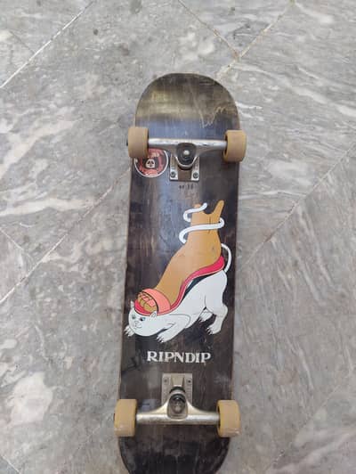 Professional Skateboard
