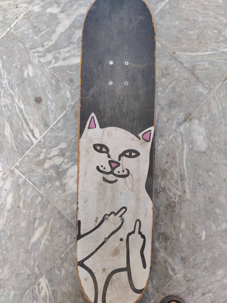 Professional Skateboard 1