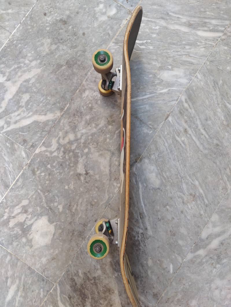 Professional Skateboard 2