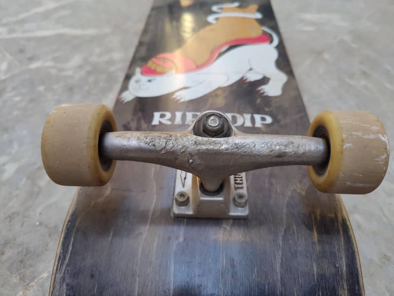 Professional Skateboard 7