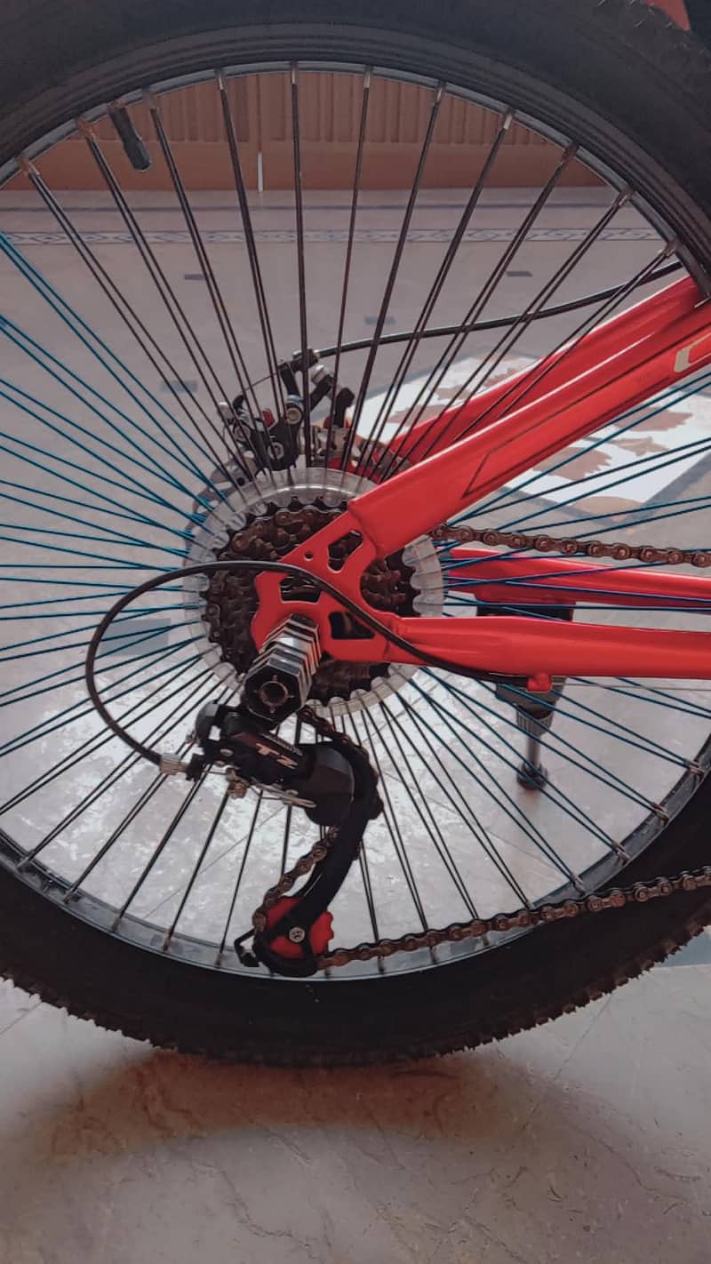 cycle 1