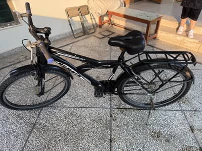 Mountain bike