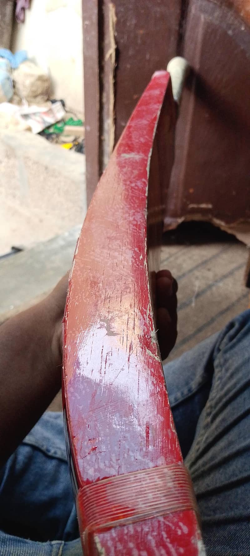 cricket bat 1