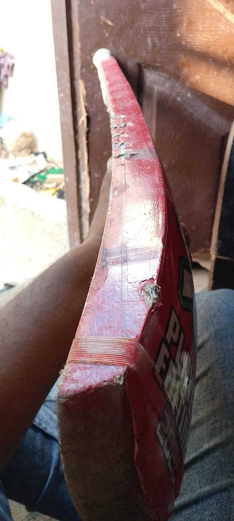 cricket bat 2