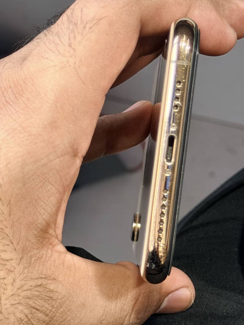Xsmax 10