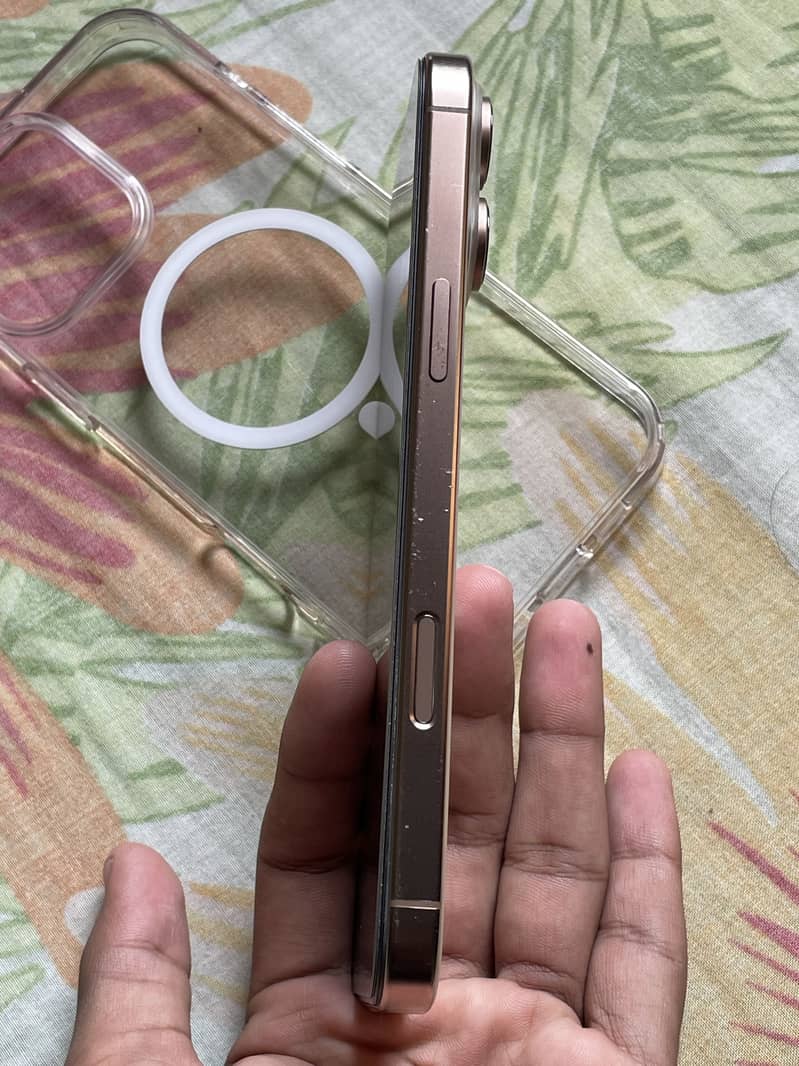 iPhone 16 Pro Max 1
