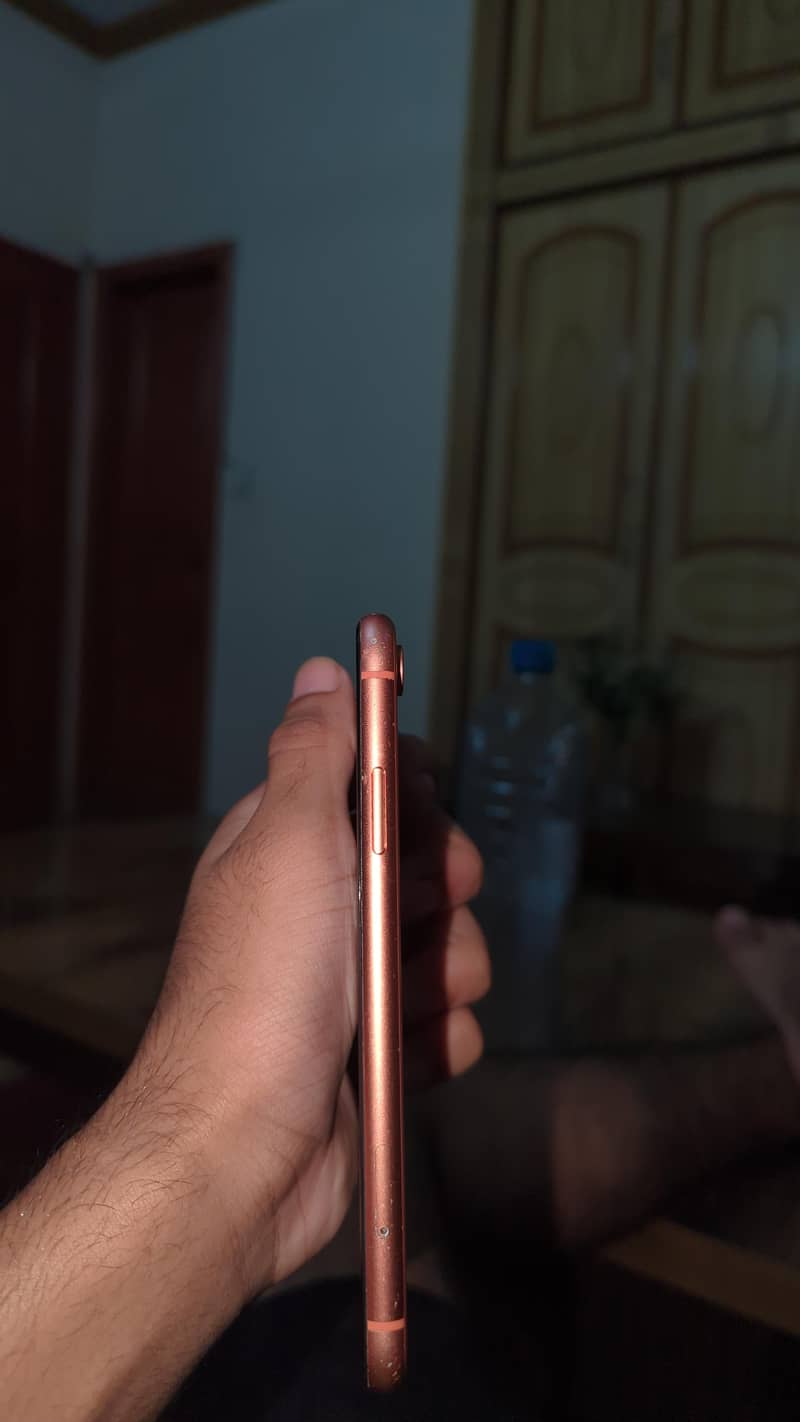 Apple iPhone XR 1