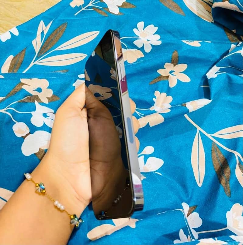 Apple iPhone 13 pro max 2