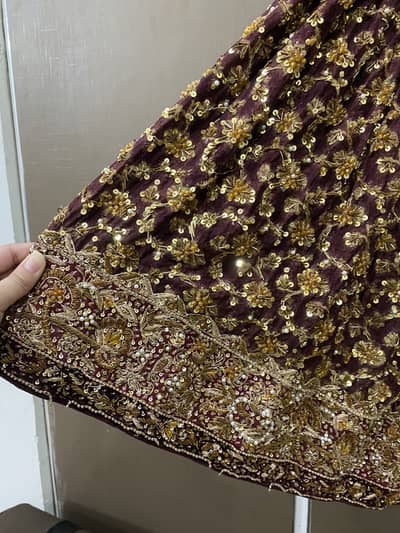 Heavy embroidered sharara
