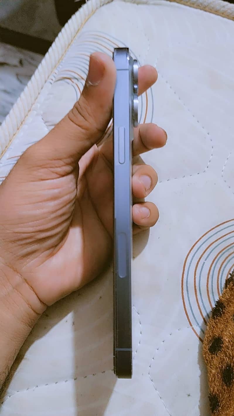 Apple iPhone 13 Pro Max 1