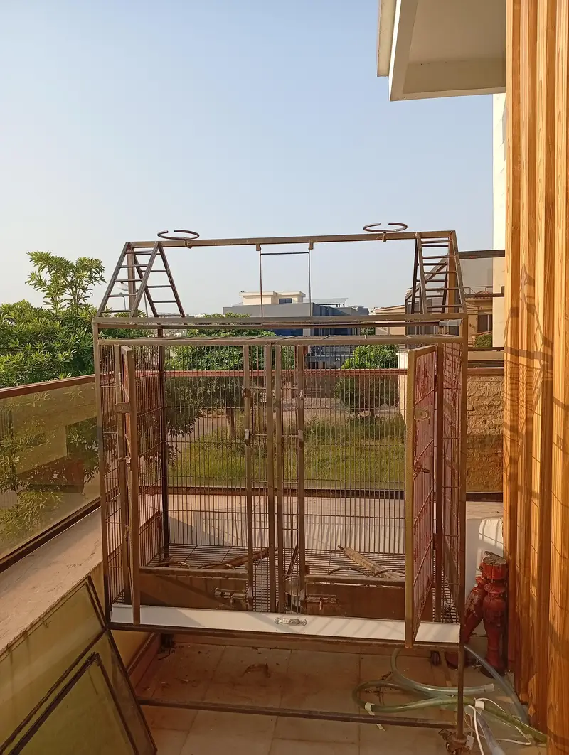 Large 6ft Parrot Cage – Strong Iron, Spacious & Good Condition