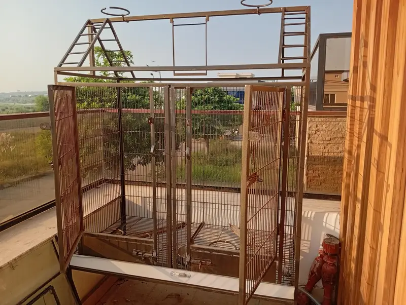 Large 6ft Parrot Cage – Strong Iron, Spacious & Good Condition — photo 2