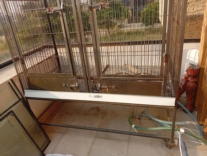 Large 6ft Parrot Cage – Strong Iron, Spacious & Good Condition — photo 4