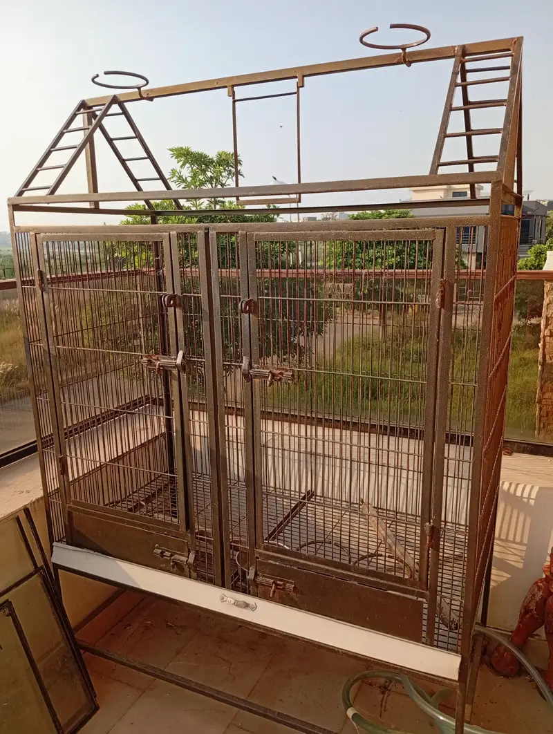 Large 6ft Parrot Cage – Strong Iron, Spacious & Good Condition — photo 5