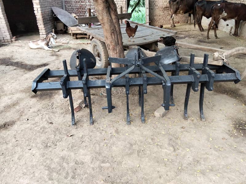 Rajer 2
