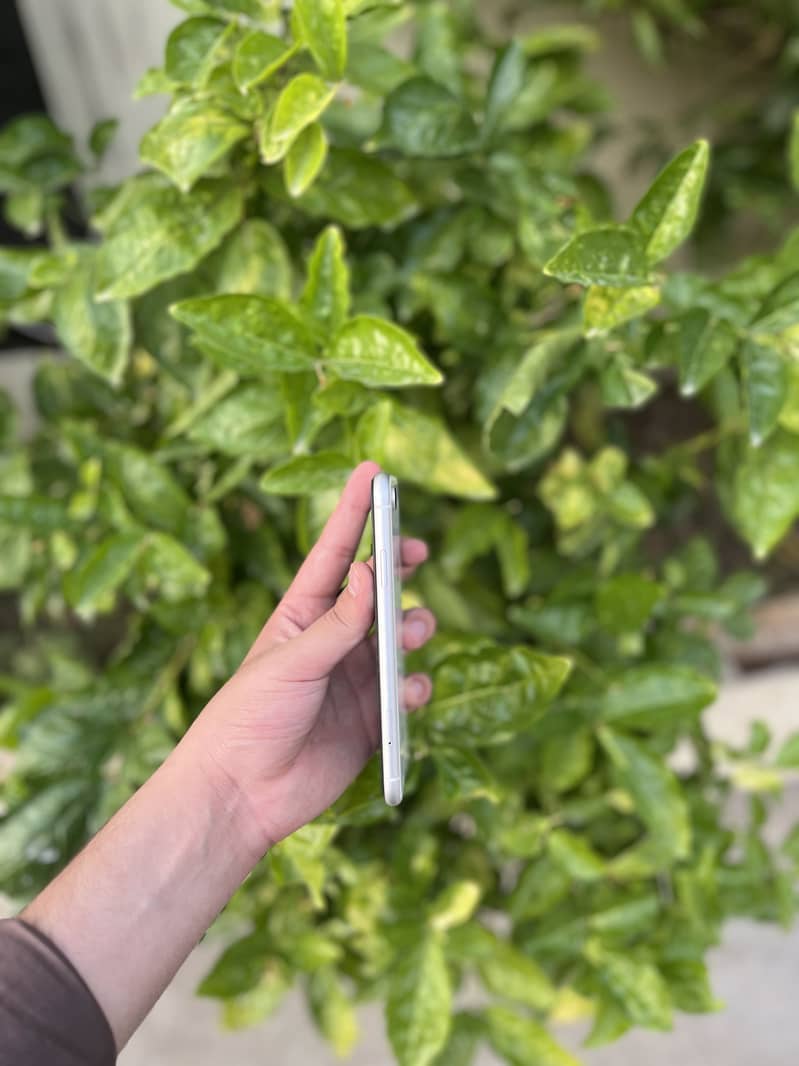 Apple iPhone XR 1