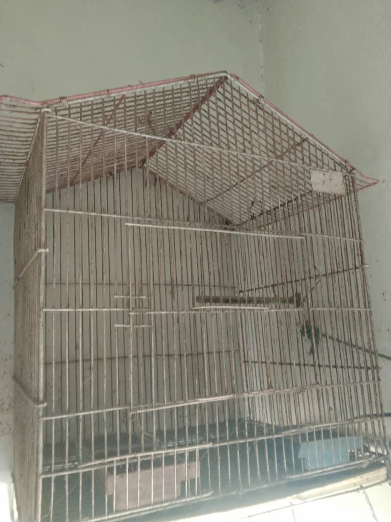parrot Cage 0