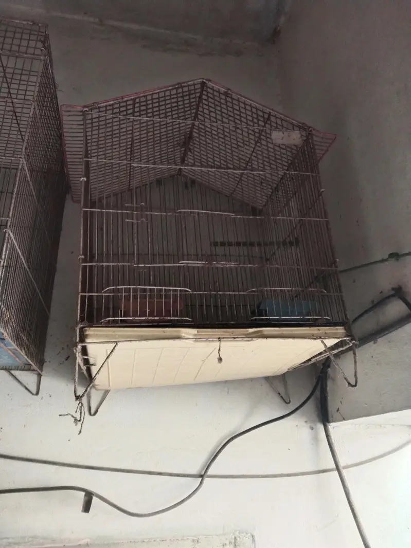 parrot Cage — photo 2