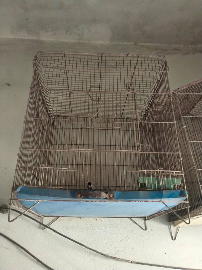 parrot Cage 2